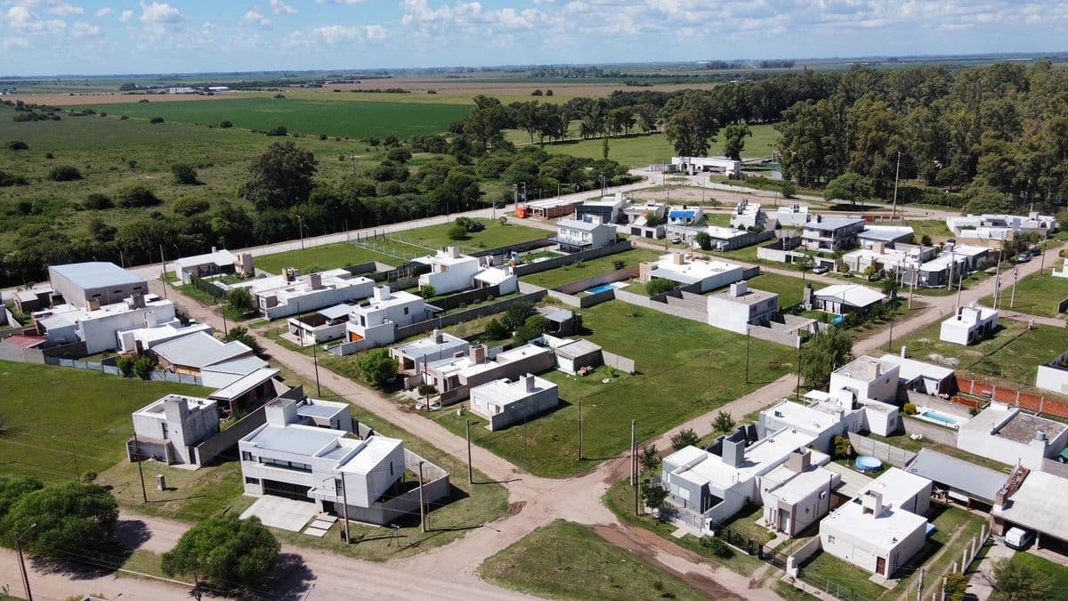 Imagen de la publicación