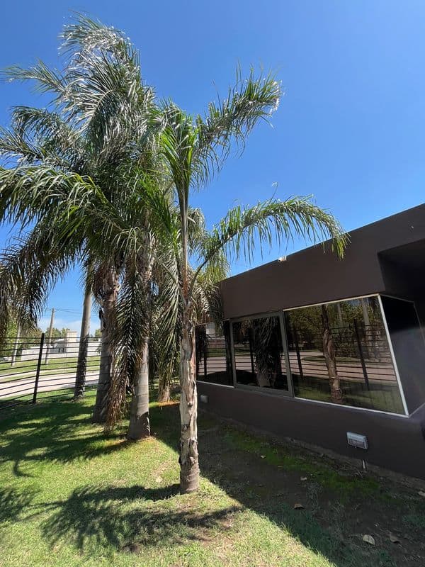 Imagen de la publicación